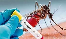 Contabilizan 23 casos de dengue en Coclé