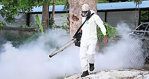 Barú en alerta por elevada infestación de dengue