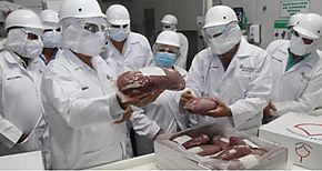 Panam avanza en proceso para exportar carne de res a Estados Unidos