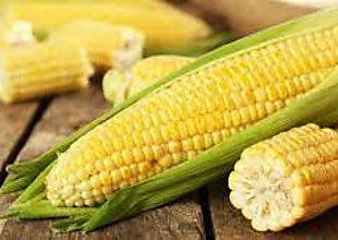 Gabinete aprueba modificación temporal del arancel de importación de maíz