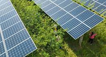 Cmara Solar de Panam pide eliminar topes de generacin