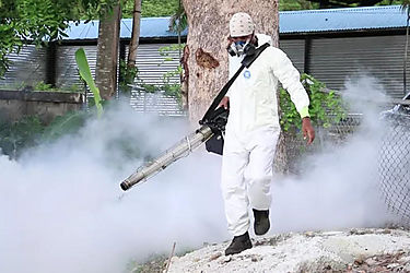 De los 4887 casos de dengue registrados en Panamá 506 son con signos de alarma