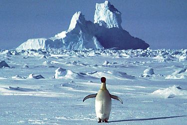 Encuentran microplsticos de origen humano en ocano austral de la Antrtida