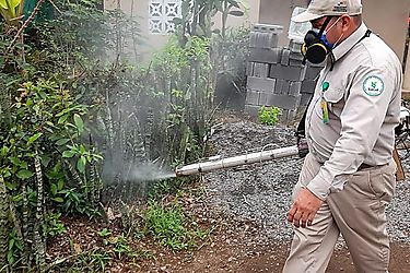 Control de vectores pide eliminar potenciales criaderos de Aedes Aegypti en Chiriqui