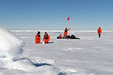 Estudio revela preocupante contaminación en el Océano Ártico