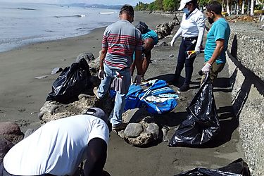 ADEDAPP se sumó a la Limpieza Mundial de Playas con una actividad en Veracruz