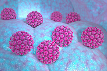 Vacuna contra el VPH marca el camino en prevención y aparición de cánceres y precánceres