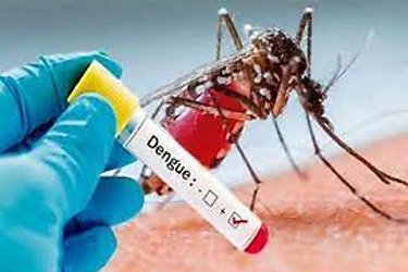 Los Santos registra 185 casos de dengue hasta la fecha