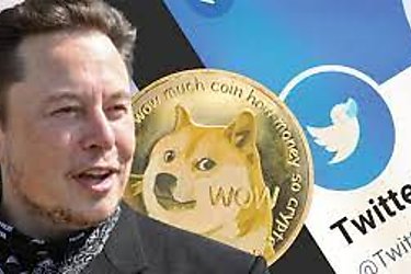 Elon Musk sustituye el logo de Twitter por el de la criptomoneda Dogecoin y su valor se dispara
