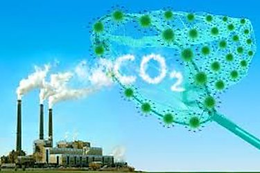 Atrapar el CO2 en la atmósfera unas tecnologías en pleno desarrollo