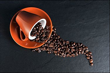 Panamá busca exportar café hacia el mercado israelí