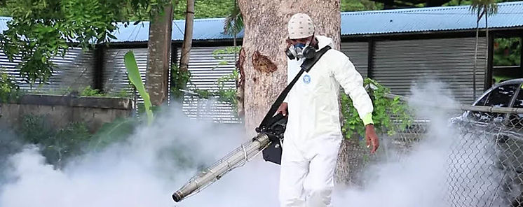Veraguas reporta decenas de casos de leishmaniasis dengue y malaria