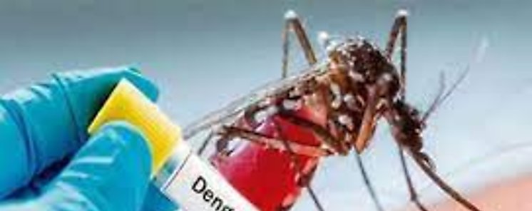 Contabilizan 23 casos de dengue en Coclé