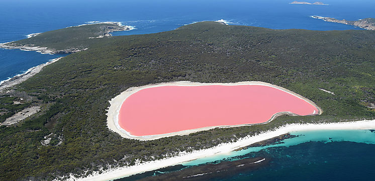 Descubren por qué el agua de un lago de Australia se torna de color rosa brillante