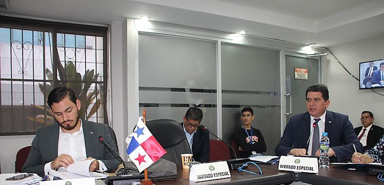 Comisión de Presupuesto AN aprobó B 48 millones para pagos personal transitorio Cuarentena Agropecuaria